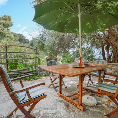 Amazing In With House A Mountain View Holiday home Zalana